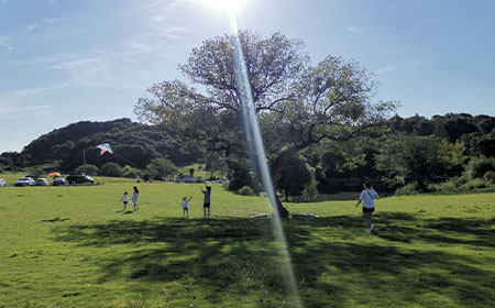 金石包装（嘉兴）有限公司地下水、土壤检测报告公示